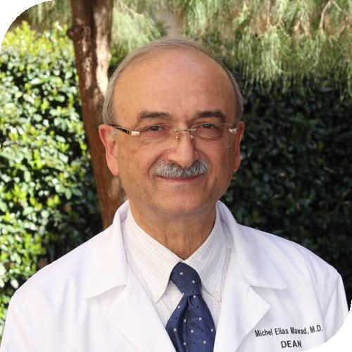 Michel Moawad